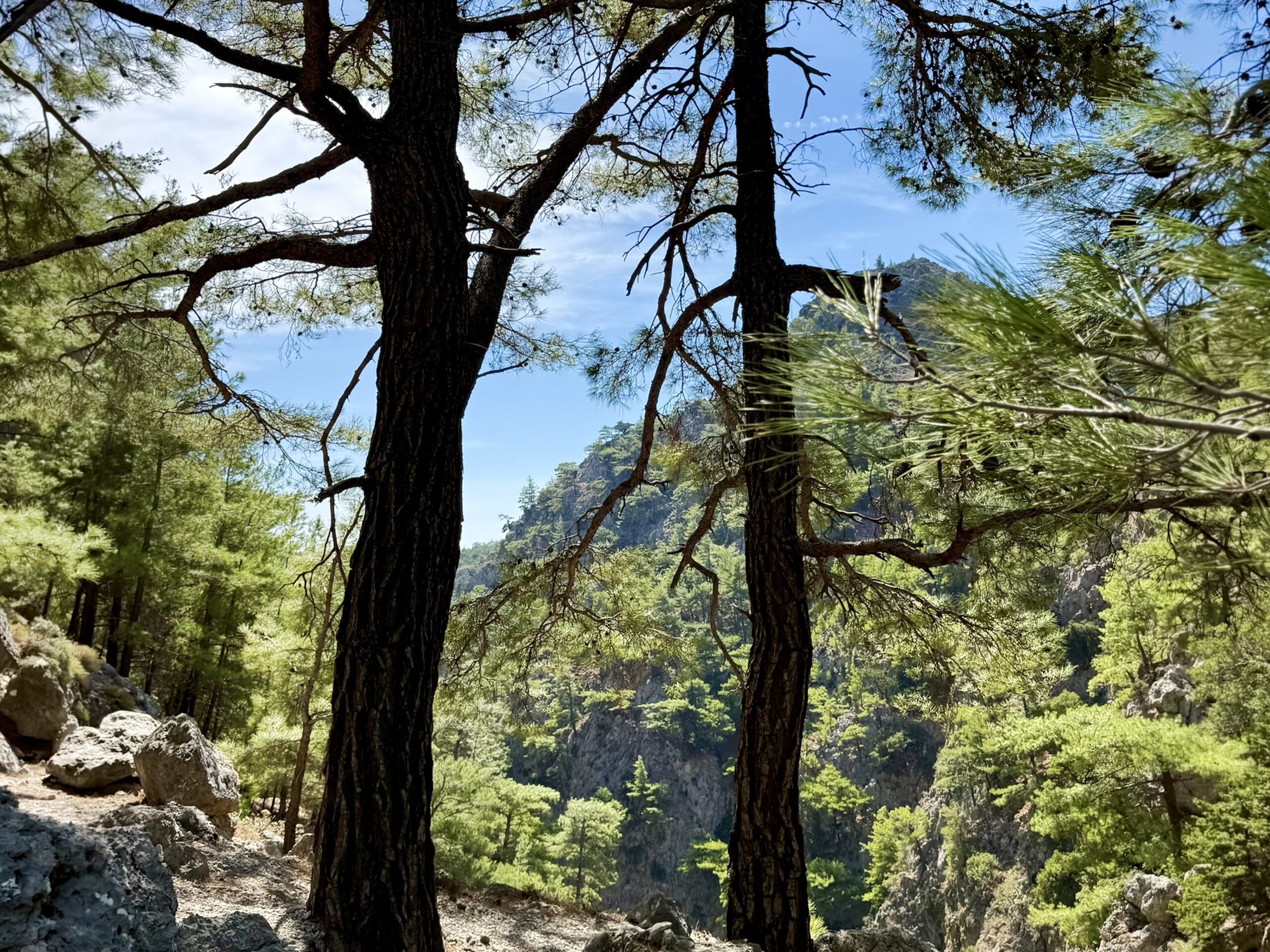 Samaria Gorge Blitz Car rental Kalyves 001
